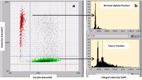 Ricerca italiana: la biopsia diventa digitale, cellule del tumore "visibili" come pixel