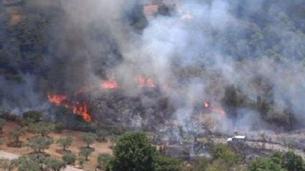 Incendi sul litorale tirrenico cosentino, disagi a circolazione