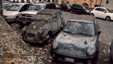Roma, torna l'emergenza guano: sabato chiuso per 9 ore il Lungotevere