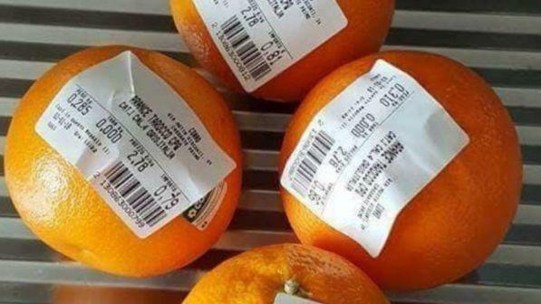 Sacchetti per frutta e verdura a pagamento, rivolta social