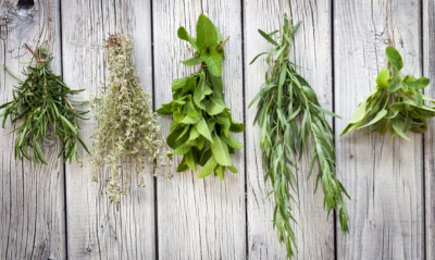 Erbe aromatiche; profumate e benefiche