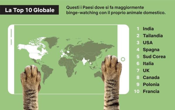 Cani e gatti, i migliori compagni di... serie Tv