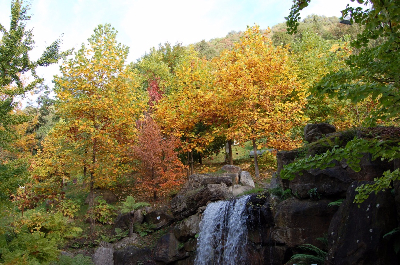 Quattro idee per un weekend autunnale in famiglia