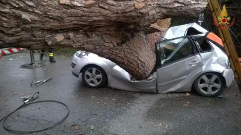 Maltempo a Roma, cade albero su autoDue morti e un ferito grave