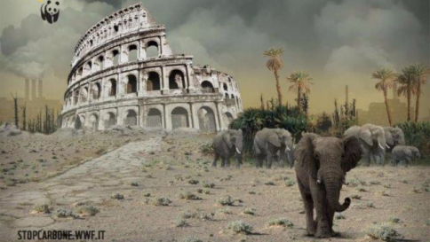 Clima, deserto a Roma e Venezia sott'acqua: le "città surreali" nei disegni del Wwf
