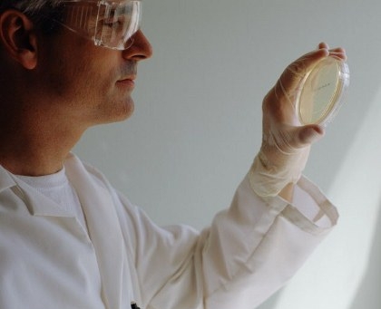 ricerca, medicina, analisi, laboratorio