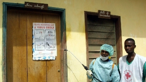 ebola,virus,febbre emorragica,emorragia