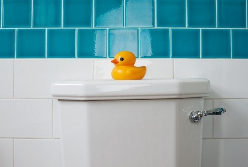 wc, toilette, bagno, paperella