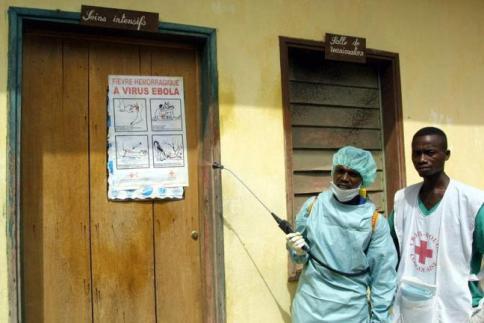 ebola,virus,febbre emorragica,emorragia