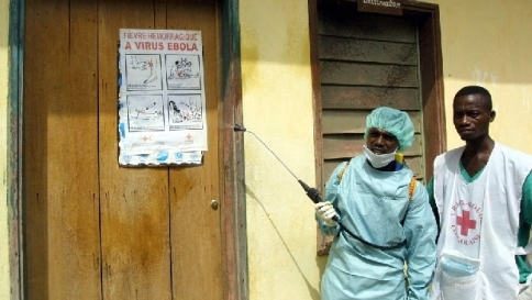 ebola,virus,febbre emorragica,emorragia
