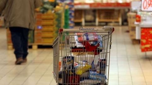 carrello spesa istat