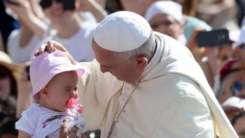 papa molise