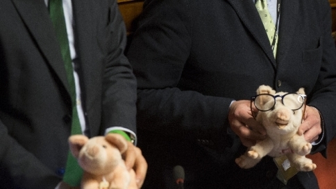 protesta senato,legge elettorale,contestazioni senato