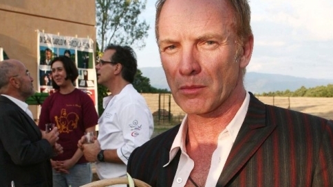 sting il palagio azienda agricola
