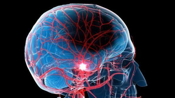 Università di Washington: il cervello delle donne invecchia più lentamente