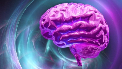 salute, cervello, neurologia, psicologia, intelligenza