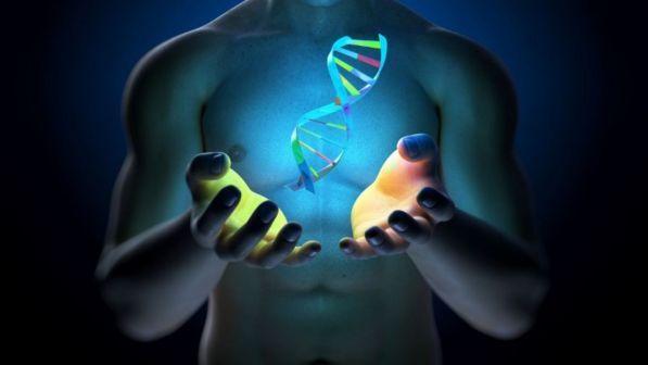 Ottenuto il primo batterio sintetico: "zippato" il suo Dna