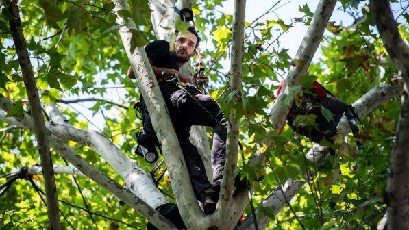 A Parigi la protesta dell'uomo sull'albero da due settimane: "Contro il disboscamento in Francia"
