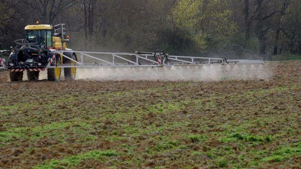 Agricoltura, Onu: "200mila morti all'anno a causa dei pesticidi"