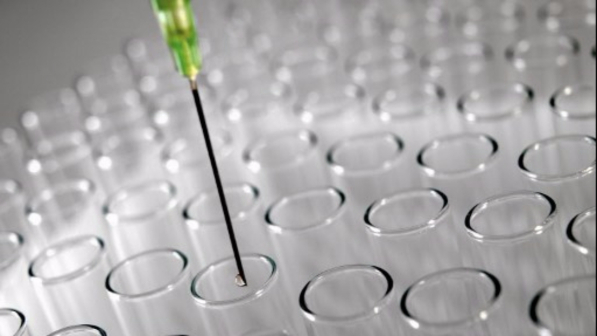 Tumore al polmone, ricerca guidata dall'Italia: scoperto il ruolo chiave di un gene