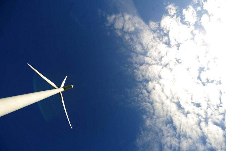 Posti di lavoro e imprese più competitive: l'impatto della “green economy” in Italia