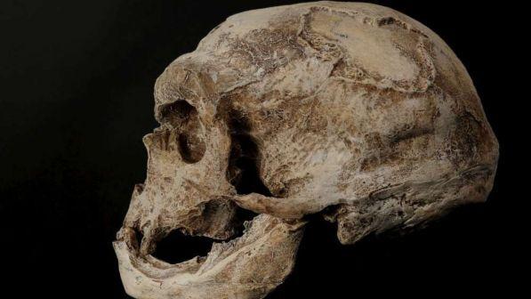 Scoperte le pitture rupestri più antiche del mondo: opera degli uomini di Neanderthal