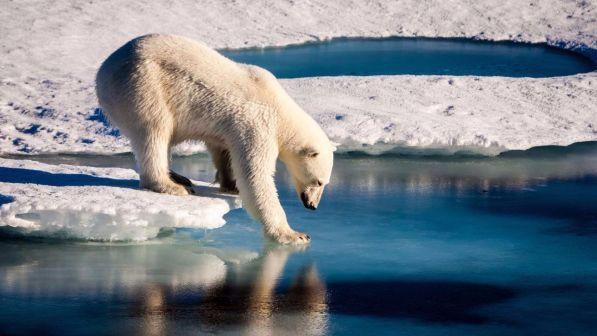 Clima, Usa presenti ai negoziati malgrado ritiro da accordo Parigi