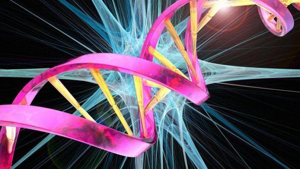 Il Dna ricreato al computer: esiste già un nuovo batterio