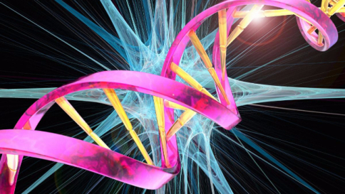 Dna,geni,genoma