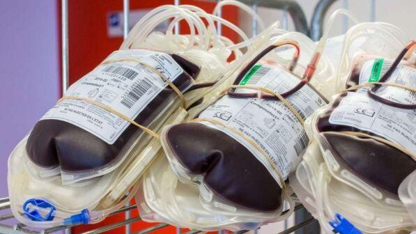 Rifiuta trasfusione e muore per una gastrite: "Avrei potuto salvarla"... <br>In un post la rabbia del medico