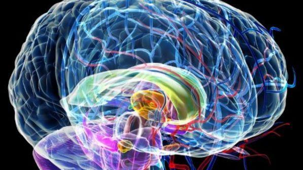 L'amore per una persona cara "accende" il cervello dei ragazzi