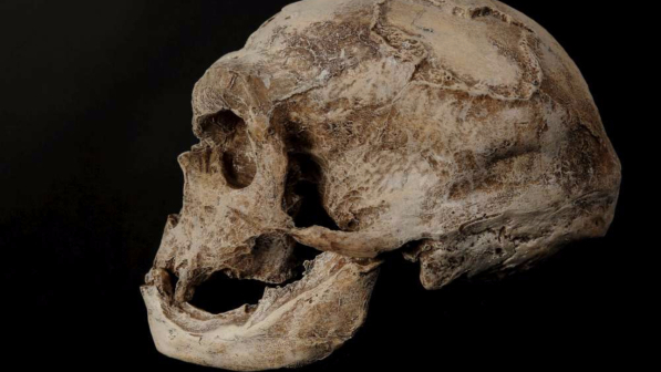 Nel Dna degli abitanti delle Andamane scoperte le tracce di un nuovo antenato dell'uomo