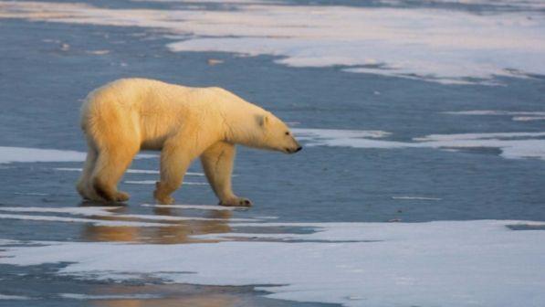 Ambiente, Gb: le peggiori conseguenze dei cambiamenti climatici "si possono ancora evitare"