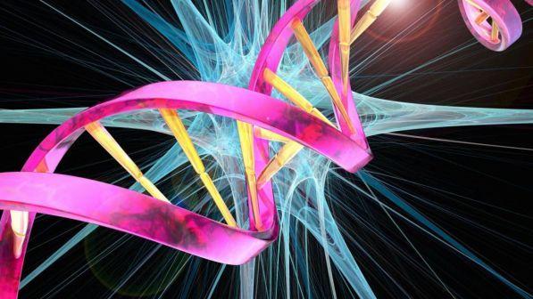 Gemelle con Dna modificato, lo scienziato cinese: "Sospendo la sperimentazione"