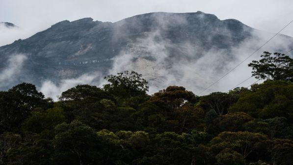L'allarme dell'Unesco sulla biodiversità e la sfida per i giovani del domani