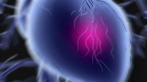 Dall'Italia arriva la terapia genica che "ripara" il cuore dopo l'infarto