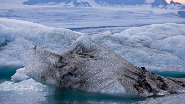 Allarme Groenlandia, scioglimento record dei ghiacci: "E' troppo presto"
