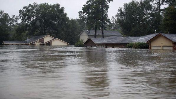 Harvey, media: poliziotto annega in auto a Houston