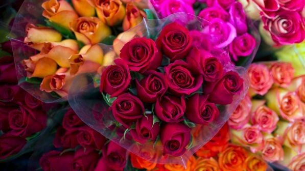 Regala rose alla ex, pensionato condannato per stalking a Torino