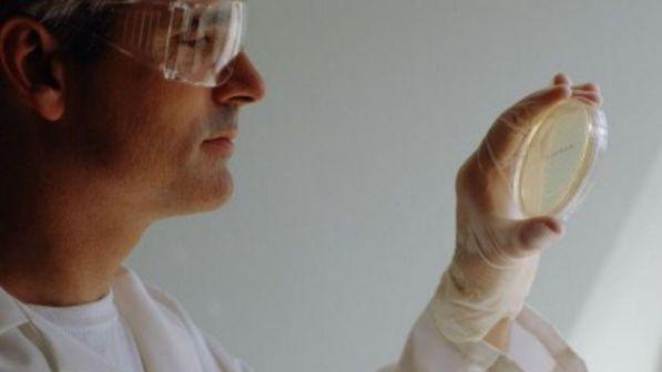 Ricerca, scoperto un "nuovo" organo del corpo umano