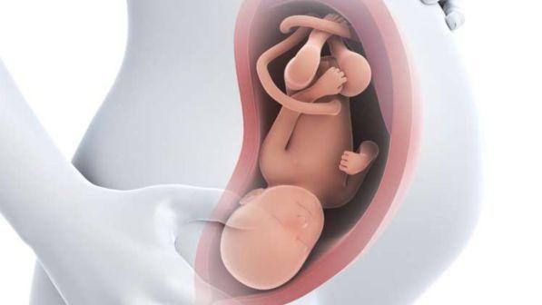 India vieta utero in affitto: stop a business maternità surrogata