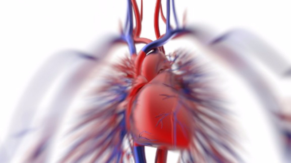 E' italiano il nuovo software "salva-cuore": previene il 30% di patologie in più