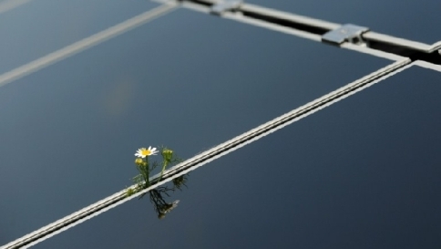 pannello solare, fotovoltaico, green, ambiente, rinnovabili