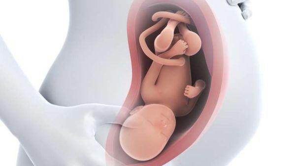 Sperimentato in Italia un nuovo test del Dna del feto: per lo screening basterà un prelievo