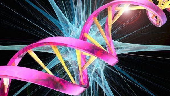Infarto, il rischio acuto è scritto nel Dna: trovato il marchio genetico