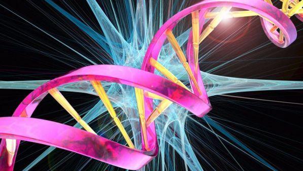 Dna del lievito del pane, a un passo dalla creazione del primo genoma sintetico