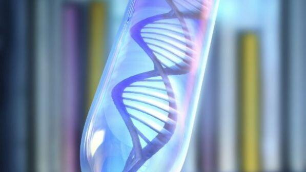 Gay, maxi studio: "L'omosessualità nasce da un mix di Dna e ambiente"