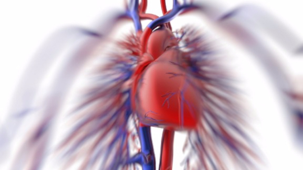 Dimezzato il limite massimo di colesterolo "cattivo", cardiologi: "Non deve superare quota 100"