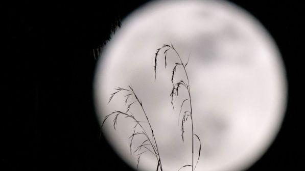 A Capodanno occhi al cielo: c'è la Superluna
