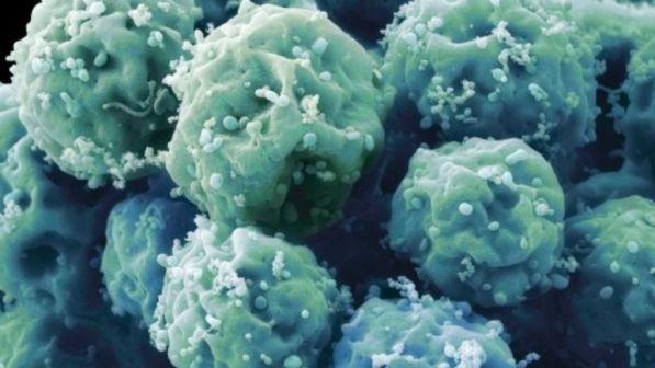 Staminali, ringiovanite le ovaie di due donne in menopausa precoce